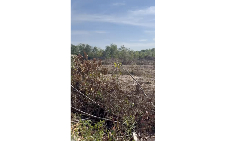 CHÍNH CHỦ GỬI BÁN ĐẤT VƯỜN HÀM NINH – PHÚ QUỐC